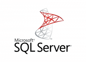 SQL Server Insert into Always Encrypted column
